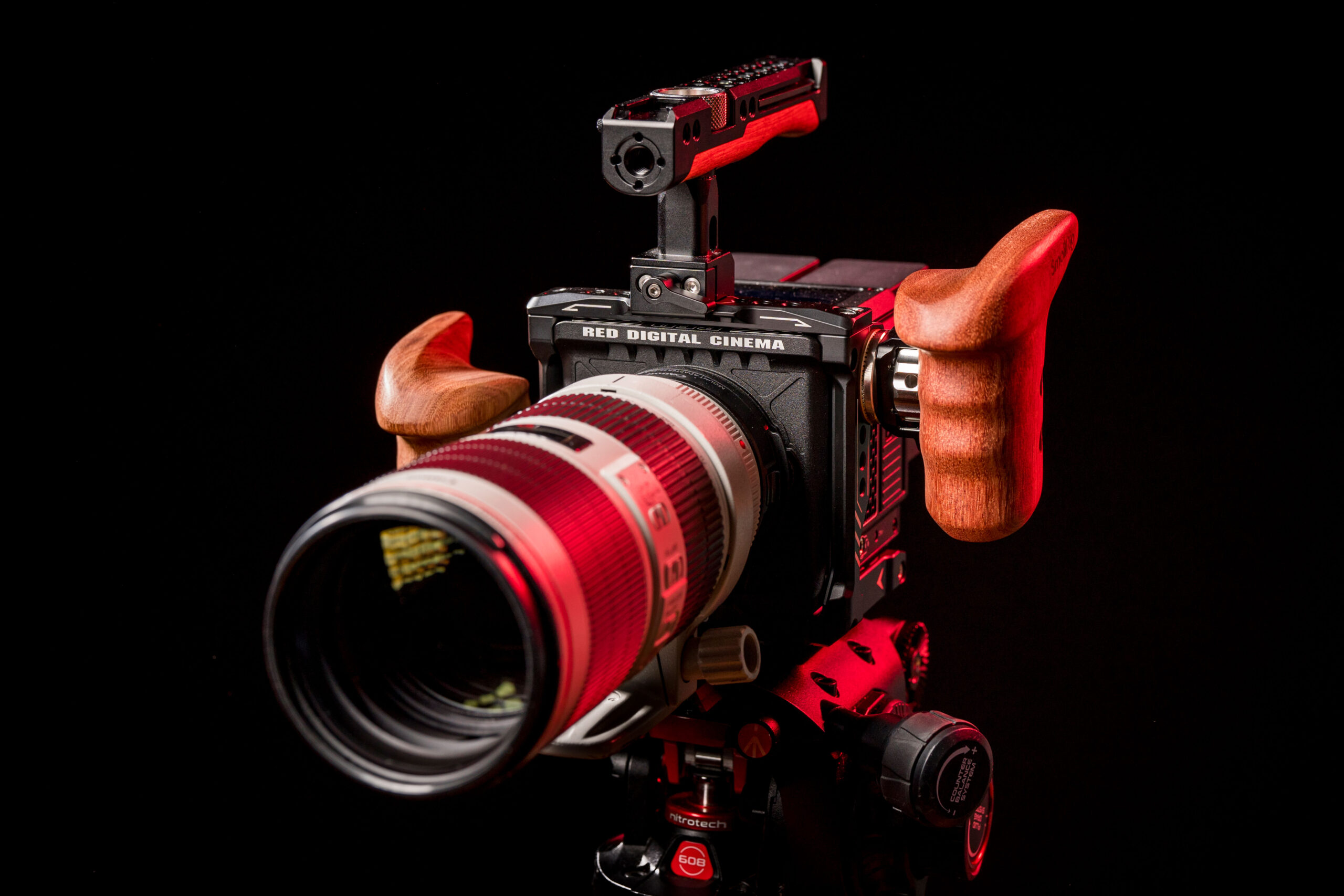 Red-Komodo-1